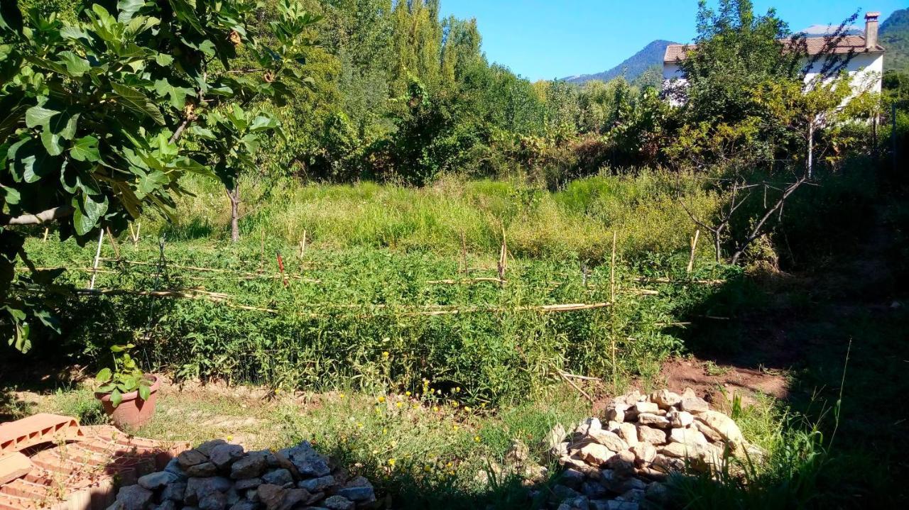 Casa Rural Los Nietos Villaverde De Guadalimar 外观 照片