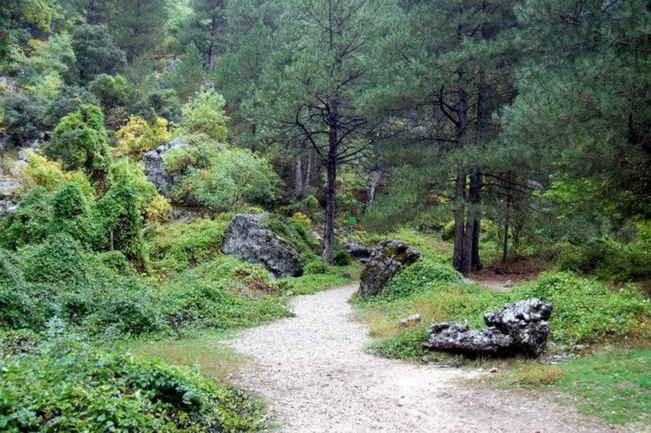 Casa Rural Los Nietos Villaverde De Guadalimar 外观 照片